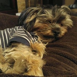 Meet your Posher, Jeremy